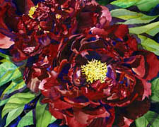 Burgundy Peonies 1